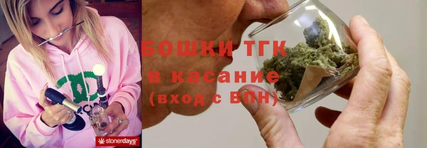 прущие грибы Аркадак