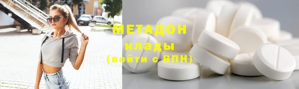 прущие грибы Аркадак