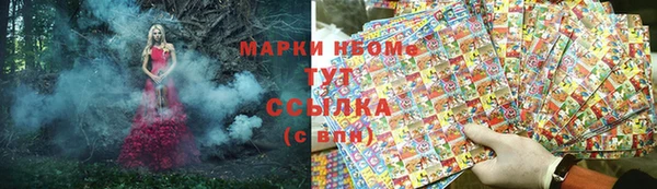прущие грибы Аркадак
