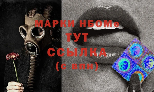 прущие грибы Аркадак