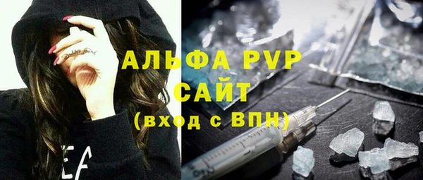 прущие грибы Аркадак