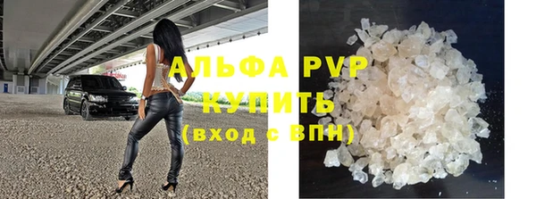 прущие грибы Аркадак