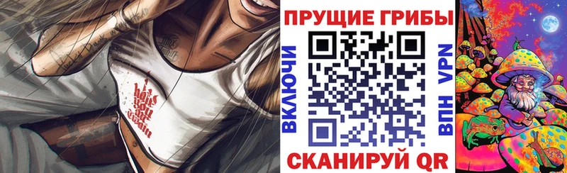 Псилоцибиновые грибы MAGIC MUSHROOMS  где продают   Советский 